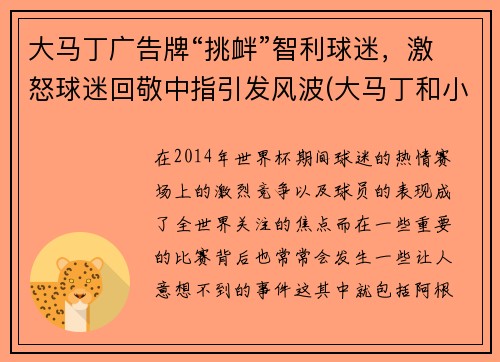 大马丁广告牌“挑衅”智利球迷，激怒球迷回敬中指引发风波(大马丁和小马丁)